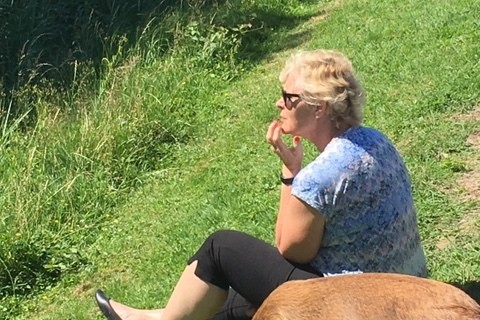 diervriendelijke camping