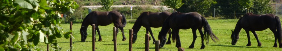 P1000050.JPG