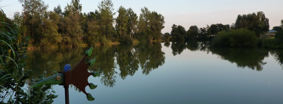 P1000135.JPG