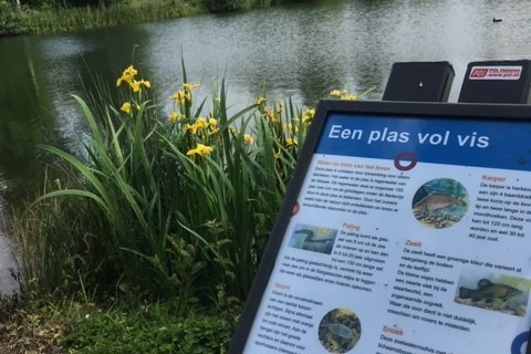 visvijver overbetuwe