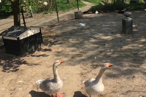 Kinderboerderij landgoed overbetuwe