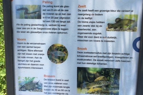 Visvijver overbetuwe