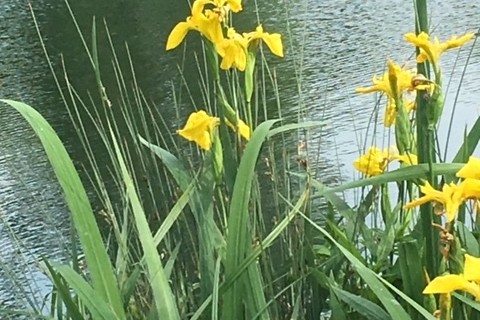 IMG_6009.JPG