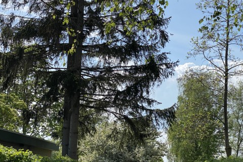 IMG_8670.jpg