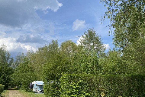IMG_8672.jpg
