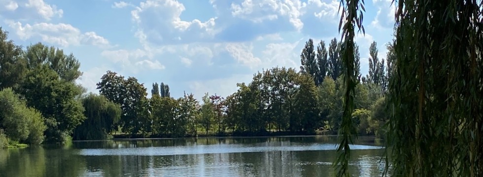 Water overbetuwe.jpg